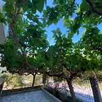 Yfantis Sakis Apartment's Maison d'hôtes Eratini