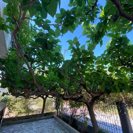 Yfantis Sakis Apartment's Penzion Eratini