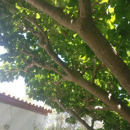 Yfantis Sakis Apartment's Penzion