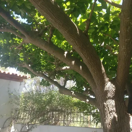 Yfantis Sakis Apartment's 4* Eratini